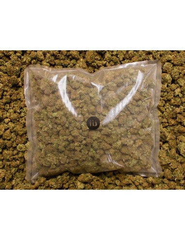 Herba Di Berna Harlequin CBD 14.5% 250gr Herba Di Berna Harlequin CBD 14.5% 250gr