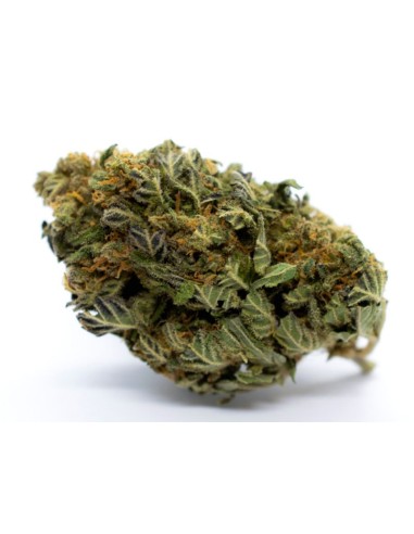 Red City Orange Bud CBD Indoor 5gr Red City Orange Bud CBD Indoor 5gr