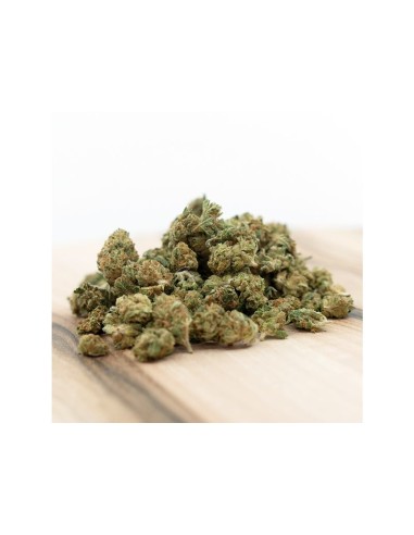 Herba Di Berna Harlequin Indoor Mini Buds CBD 21gr Herba Di Berna Harlequin Indoor Mini Buds CBD 21gr