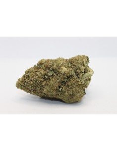 Red City Freez Kush  Indoor (USA Imported) 6gr