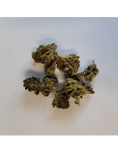 Helvetic Weed Helvetonic Outdoor Small Bud CBD 50gr